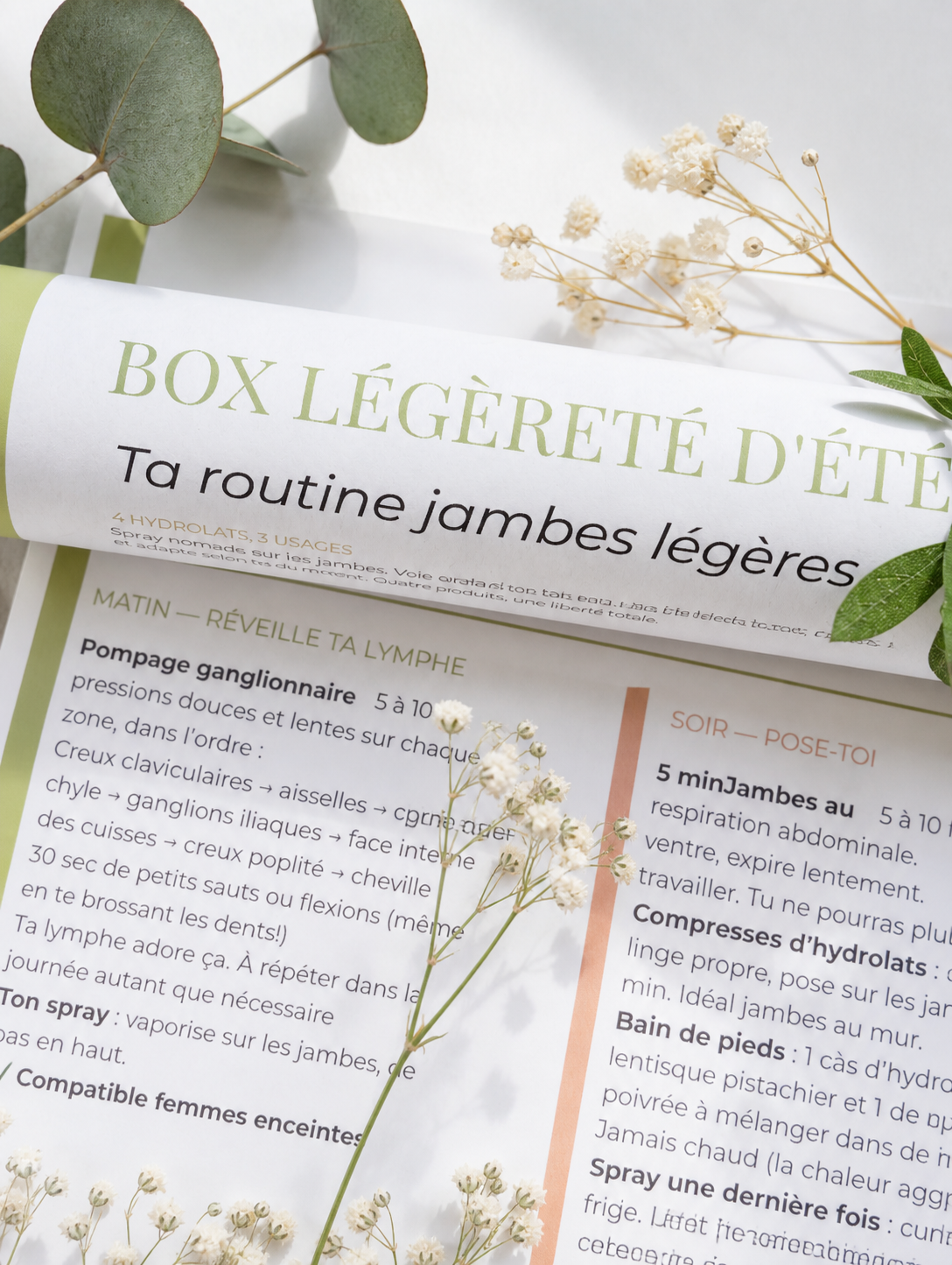 Box jambes légères été