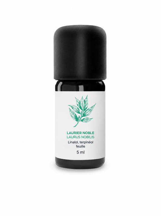 Huile Essentielle de Laurier noble 100% Bio et Artisanal -ESSENCIAGUA