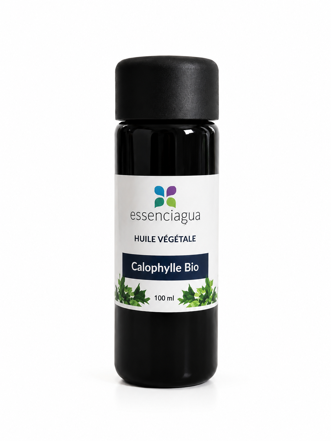 Huile végétale de Calophylle bio - ESSENCIAGUA