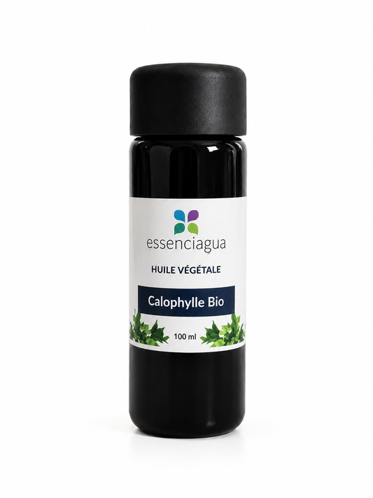 Huile végétale de Calophylle bio - ESSENCIAGUA