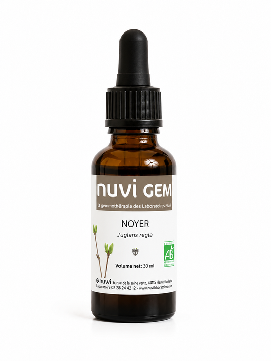 Bourgeons de Noyer -NUVI GEM-