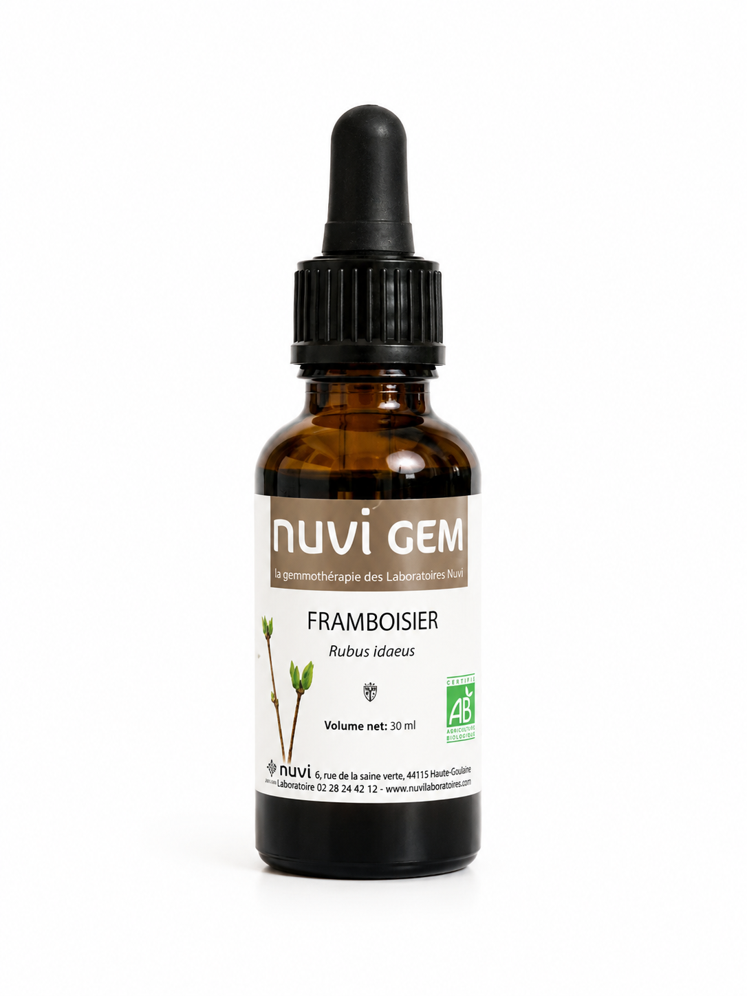 Bourgeons de Framboisier -NUVI GEM-