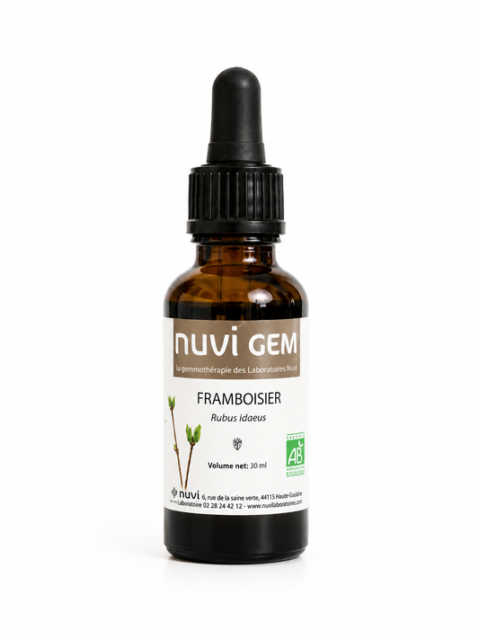 Bourgeons de Framboisier -NUVI GEM-