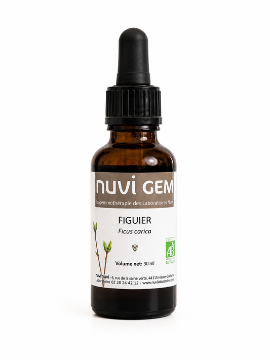 Bourgeons de Figuier -NUVI GEM-