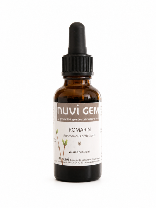 Bourgeons de romarin -NUVI GEM-