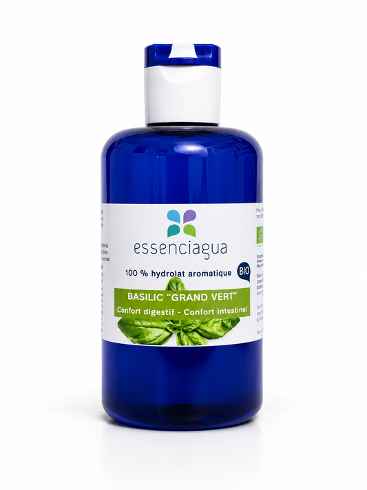 Hydrolat Basilic "grand vert" bio -Essenciagua-