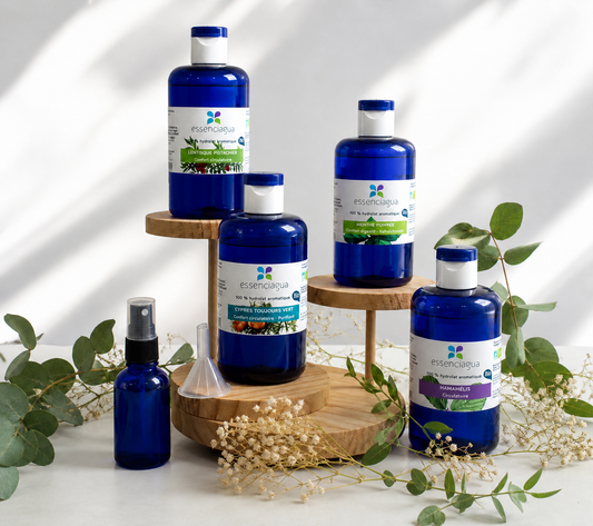 Box jambes légères été